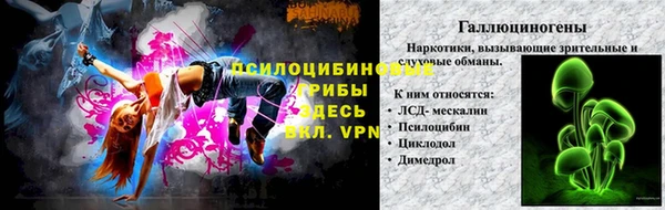 ГАЛЛЮЦИНОГЕННЫЕ ГРИБЫ Заволжье