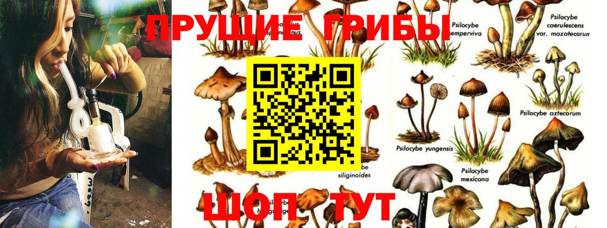 Псилоцибиновые грибы мухоморы Азов