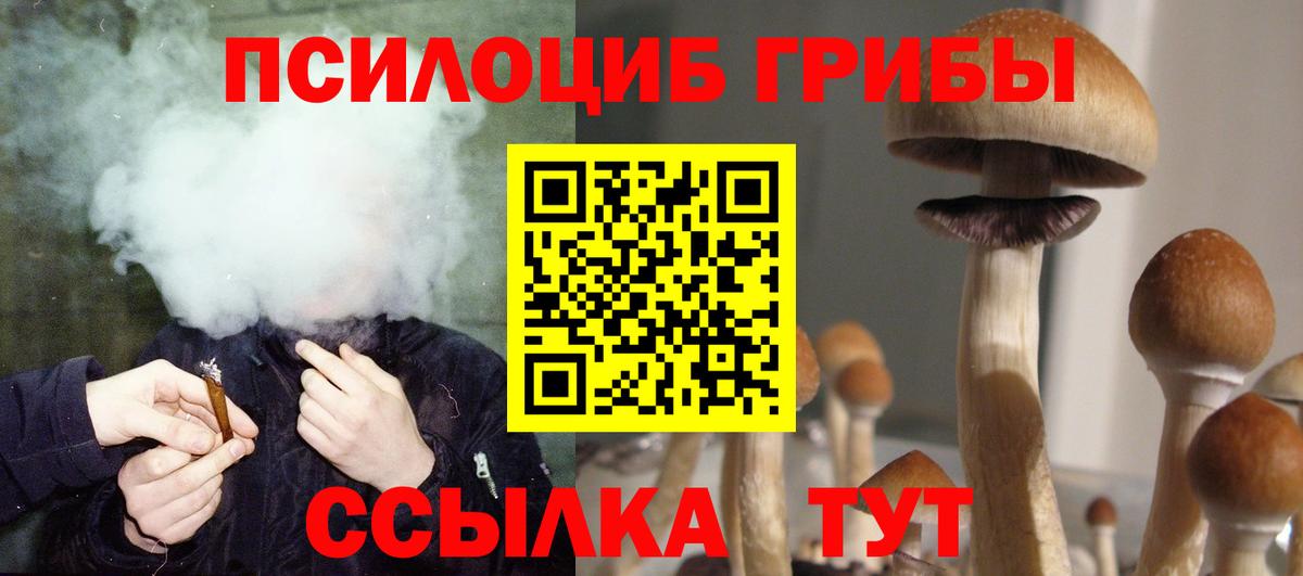 купить наркоту  Галлюциногенные грибы мухоморы  Псилоцибиновые грибы Magic Shrooms  Вход с VPN  Азов 