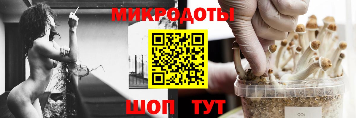 Псилоцибиновые грибы мицелий Азов